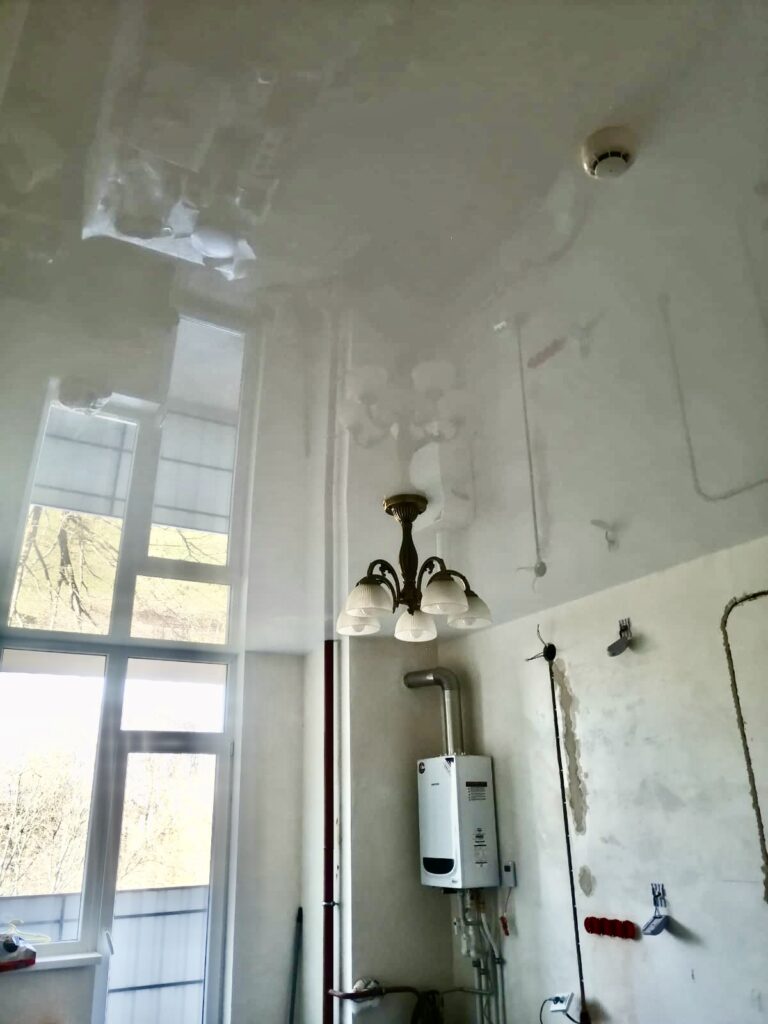 Толстикова 8_1